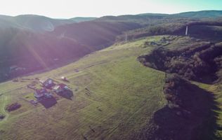 Teren Extravilan | 1.500 mp | Strada Pădurii