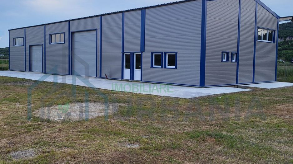 Hală de vânzare, 300 mp, teren 800 mp + 2300 mp industrial, Tomesti - Poză 2