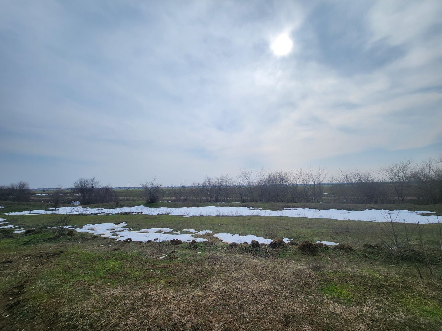 Teren intravilan 3,4 Ha Ciorogarla str.  Nicolae Iorga - Poză 5