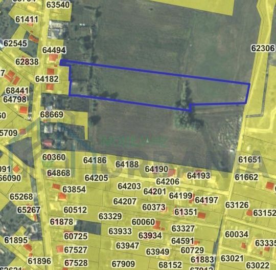 Teren intravilan și extravilan, sat Dorobanți, comuna Aroneanu – 13.126 mp - Poză 3