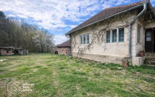 Casă cu teren generos 1.944 mp, Măgulicea, Vârfurile - Poză 3