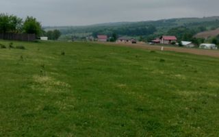 Teren intravilan 7.200 m2, Bordea, Grajduri, ideal case/ investitie - Poză 4