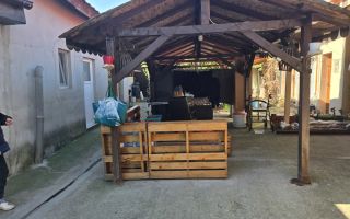 Apartament 2 camere la curte comuna zona Mehala - Poză 5