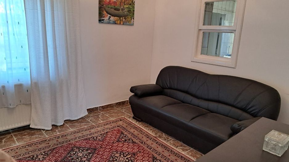 OFERTA in Băcia. Hunedoara ! Proprietate 2 case + Cabană - Poză 5