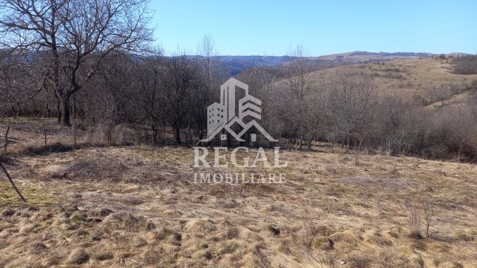 Două case de vânzare – Cerisor – teren generos 6996 mp - Poză 13