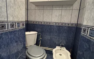 Apartament 2 camere RENOVAT Unirii-Parcul Carol M261A - Poză 21