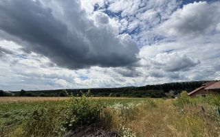 Teren intravilan | Horodnic de Sus | 1.920 mp - Poză 6