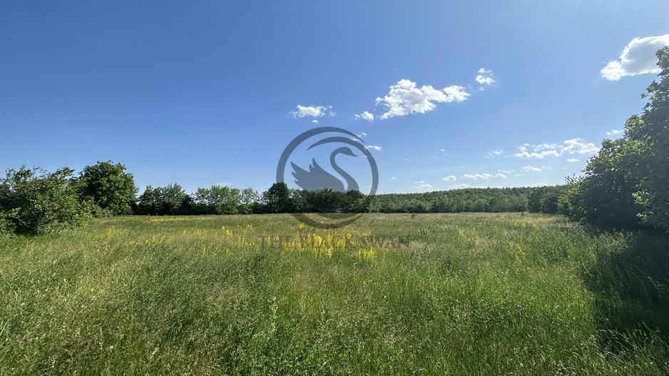 Teren intravilan de vanzare | 11.000 mp | Ghirdoveni | Comision 0% - Poză 9