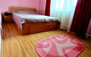 Apartament Petrisor | Parter | 47 mp | - Poză 3