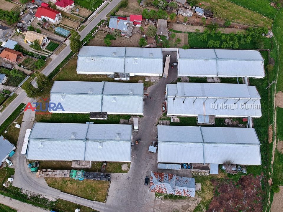 COMISION 0% - HALE Calinesti Arges - Poză 94