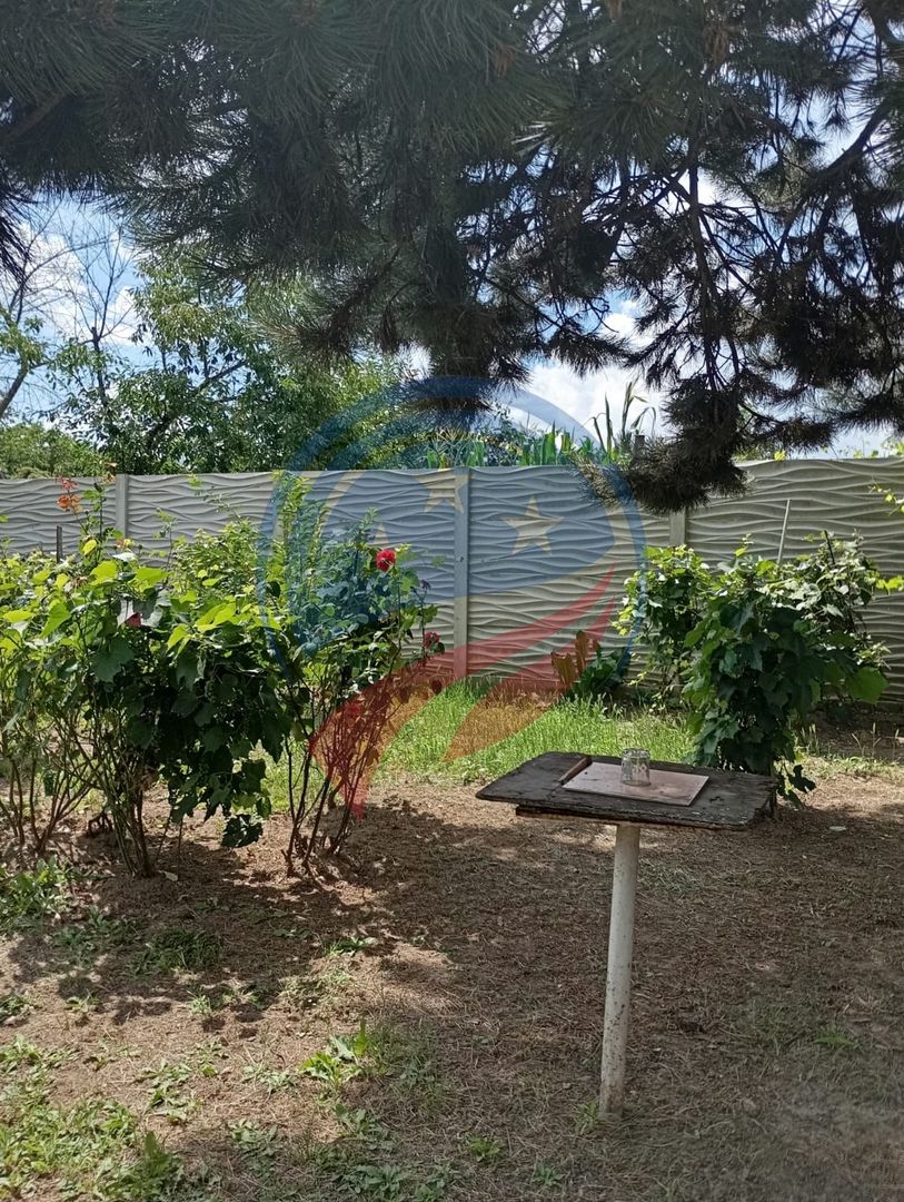 REDUCERE PRET - CASA RENOVABILA + 600 MP TEREN - BARIERA VALCII - Poză 15