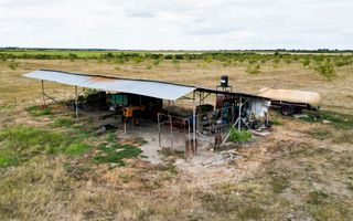 Livadă BIO de nuci de vânzare lângă Cermei - Poză 6