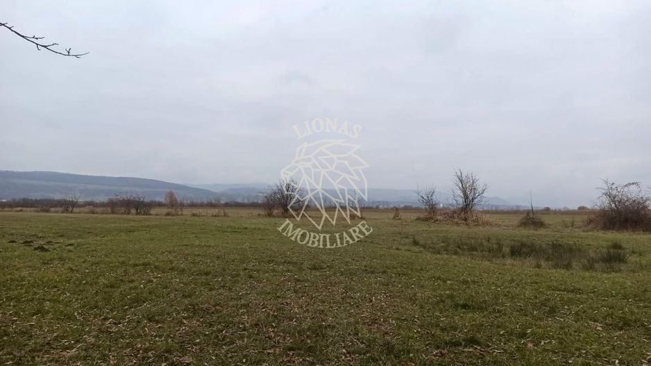 Teren 19611 mp (1,96 Ha)-ideal agricultura, investitie-Zona Aerodrom - Poză 3