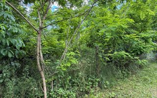 Teren intravilan 683 mp deschidere la strada asfaltata ! - Poză 14