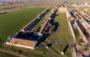 NĂDLAC | Teren 1.15 HA lângă Autostradă | 2.500mp Hale