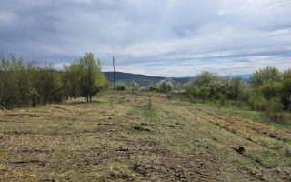 De vânzare teren intravilan – Bârsau, jud. Hunedoara - Poză 9