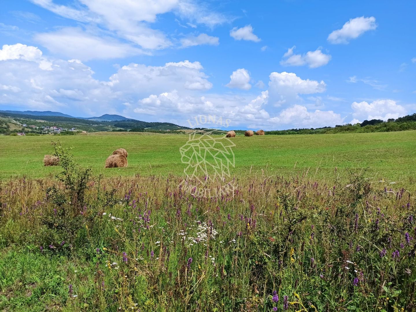Parcele teren 4038 mp - Parcelabil - Zona Valea Stanelor - Poză 2