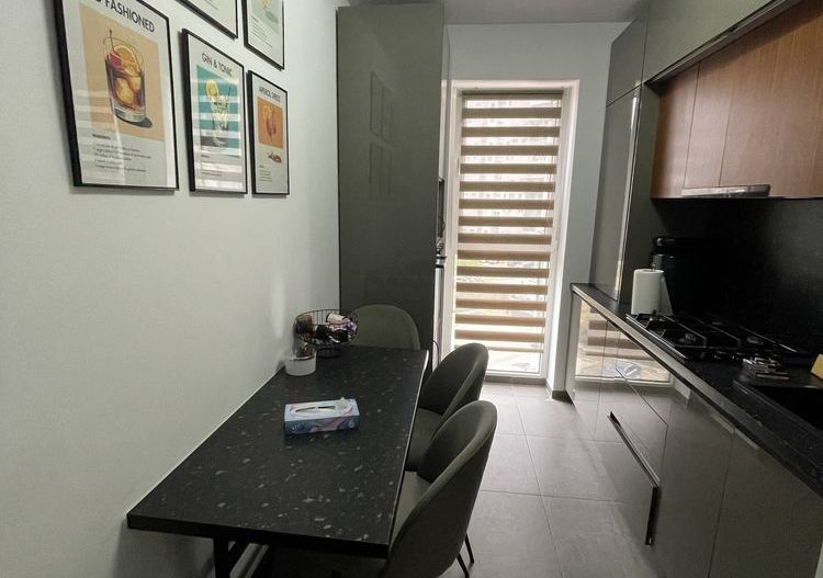Apartament 2 camere zona Lipovei Timisoara-Mobilat si utilat - Poză 3