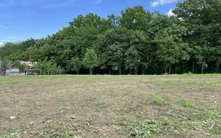 Vând casă plan parter cu garaj langa padurea Barnova - Poză 5