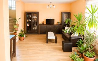 Casǎ de vânzare P+M Oșorhei - Poză 4