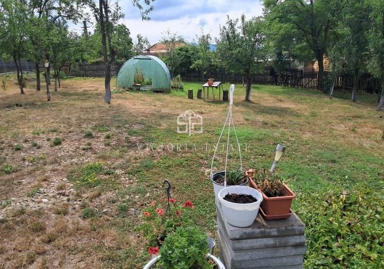 Casa si teren 2000 mp - Poză 3