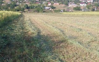 Teren extravilan de vânzare în Vânători, comuna Popricani - Poză 5