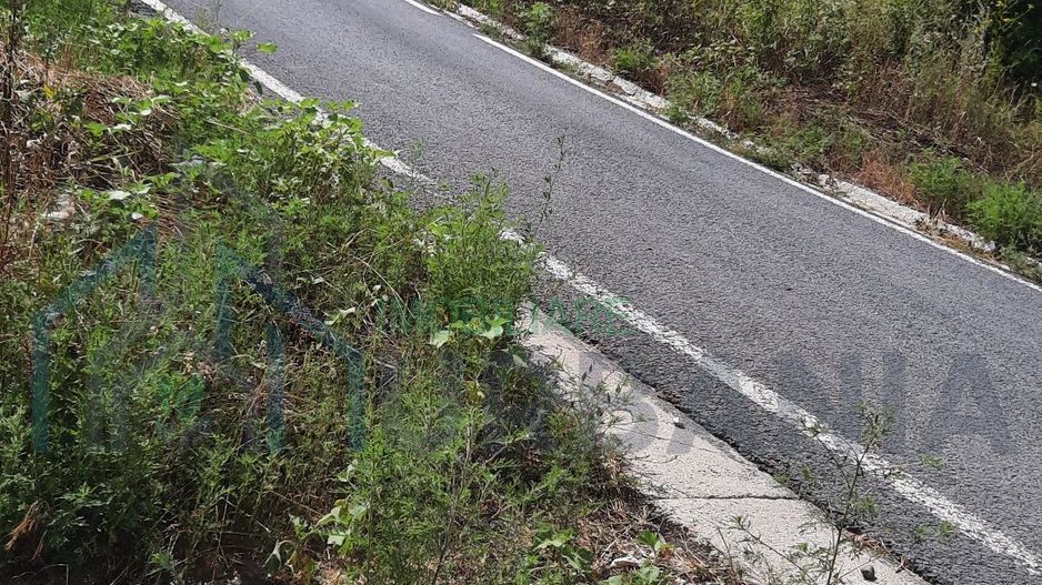 Teren 10.000 mp în Tomesti, zona Vladiceni – oportunitate de investiție - Poză 3