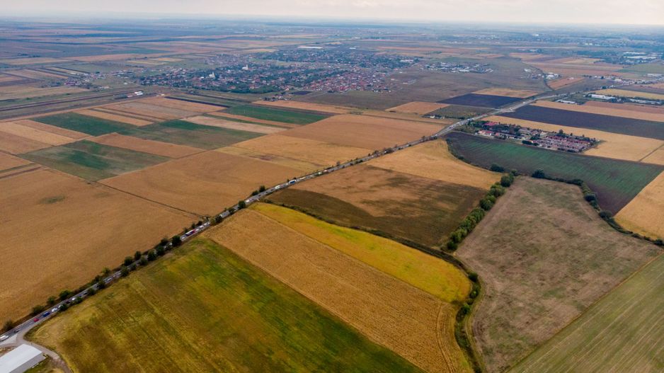Teren de 19798mp în Zimandu Nou - Poză 2