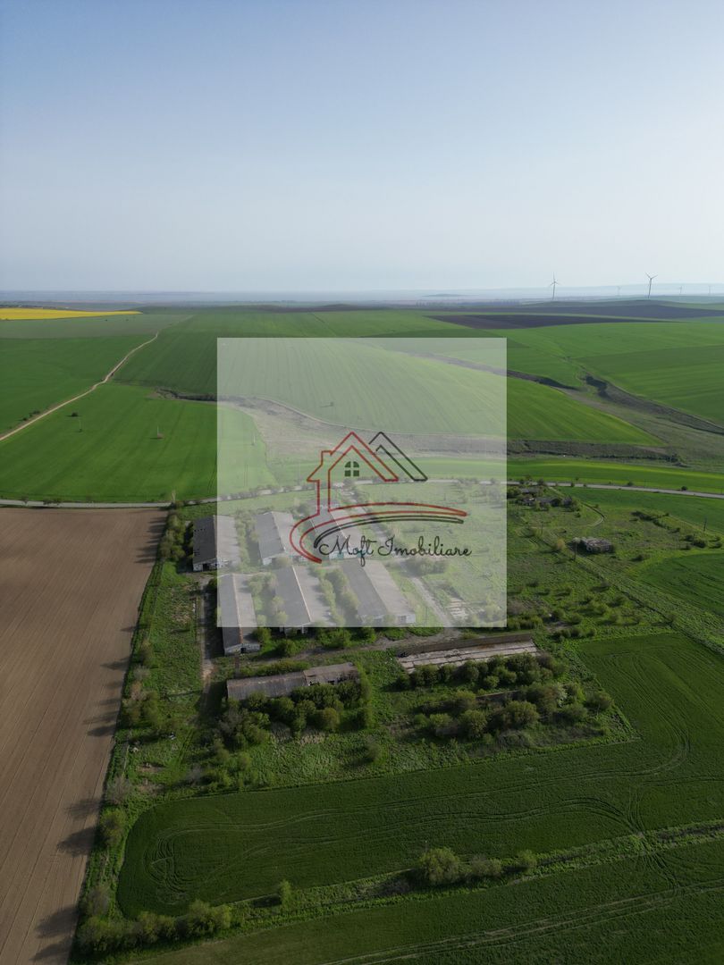 Oportunitate Investiție – Fermă 9,5 Ha cu 10.000 mp Construcții - Poză 2