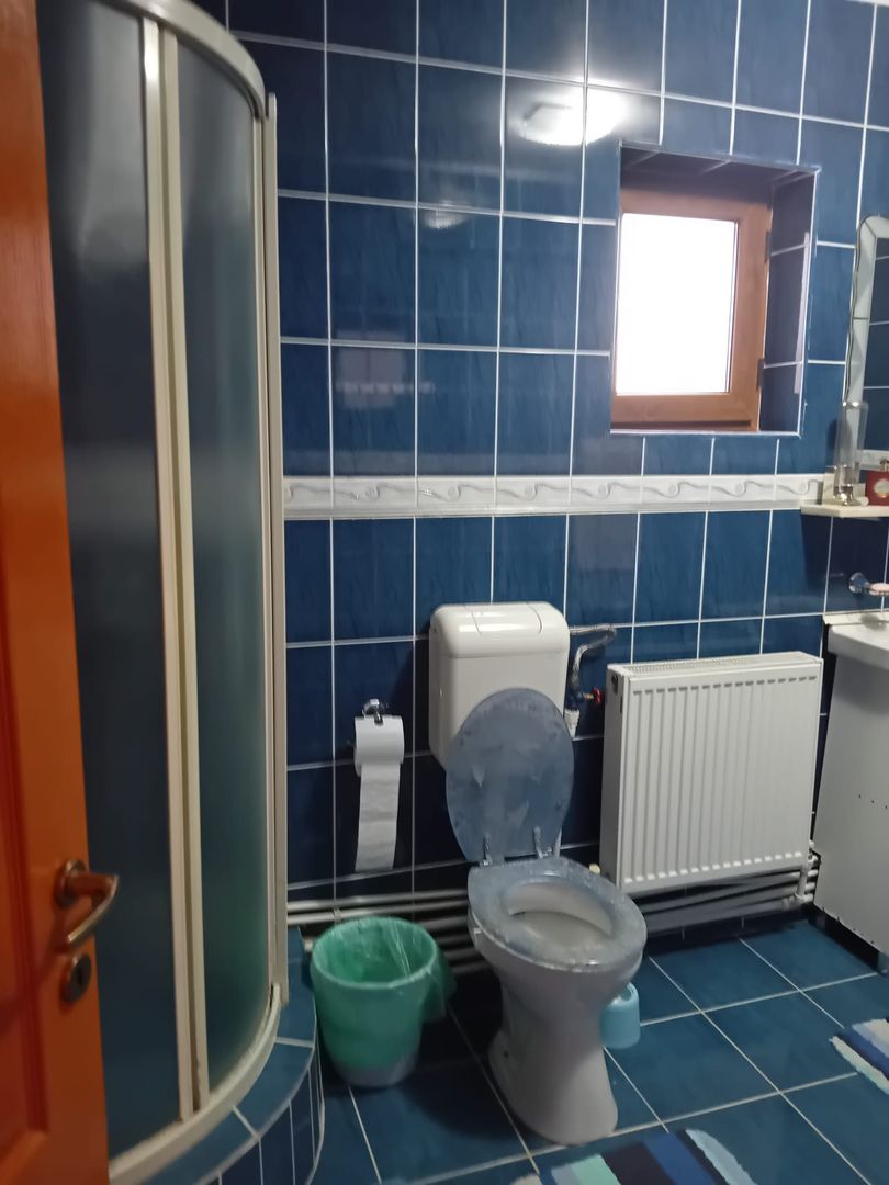 Casă Spațioasă P+1+M, 265 mp Utili, 1000 mp Teren – Toate Utilitățile, Vânători - Poză 10