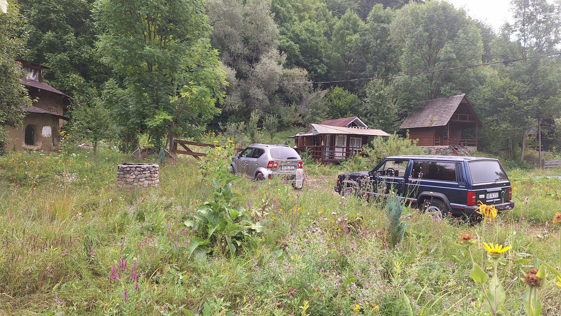 VANZARE ANSAMBLU CASUTE BRADULET ARGES - Poză 19