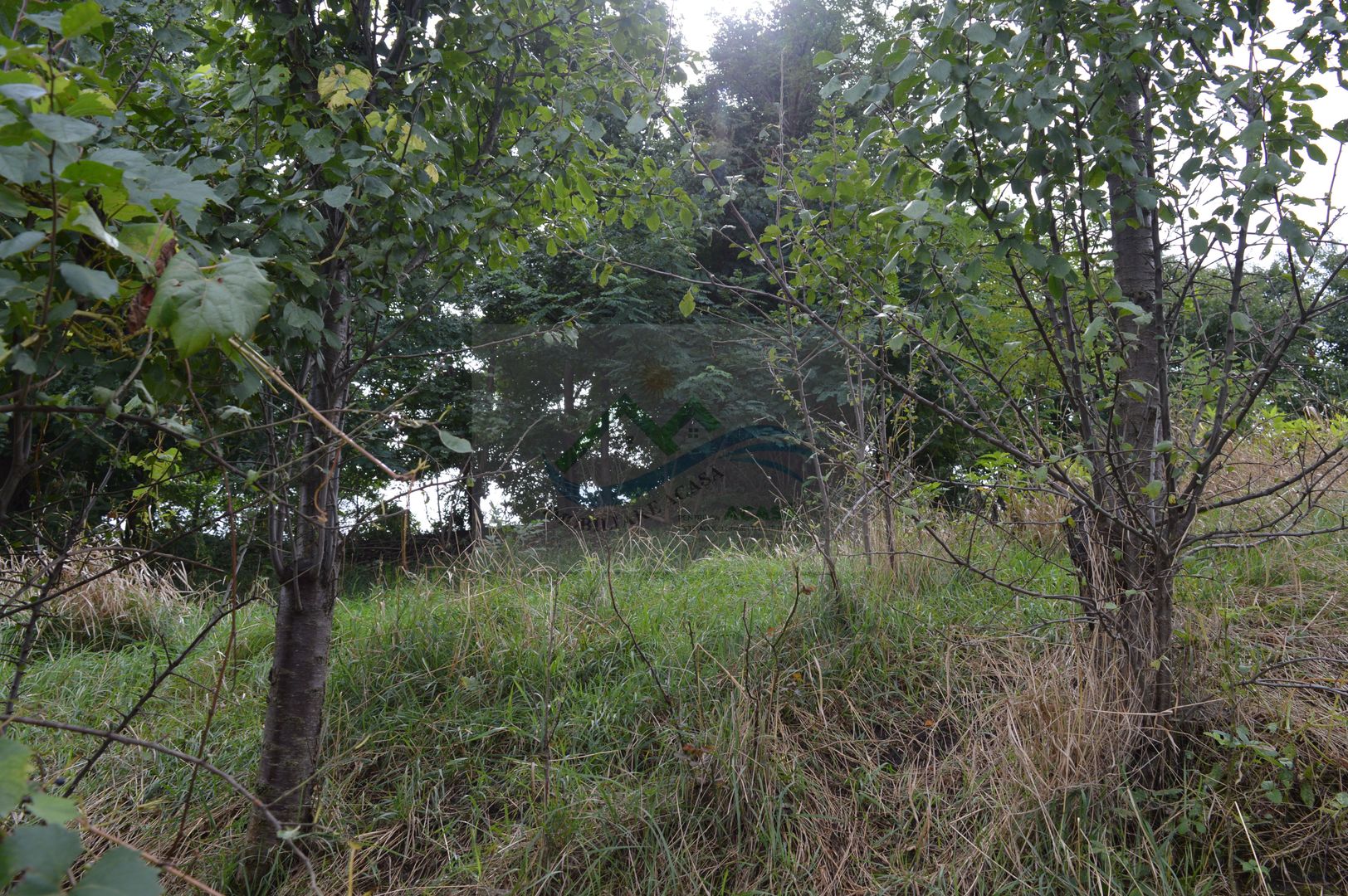 Casă de vânzare în Sfântu Ilie și teren 2000 mp - Poză 46