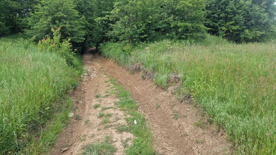 Teren extravilan str Balotesti! - Poză 4