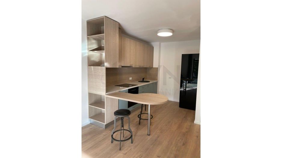 REA1028634 Apartament 2 camere de inchiriat Arcadia Apartments Domenii - Poză 3