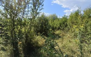 Teren  construibil ,la sosea, intre Vale si Sibiel, zona cu potential - Poză 8