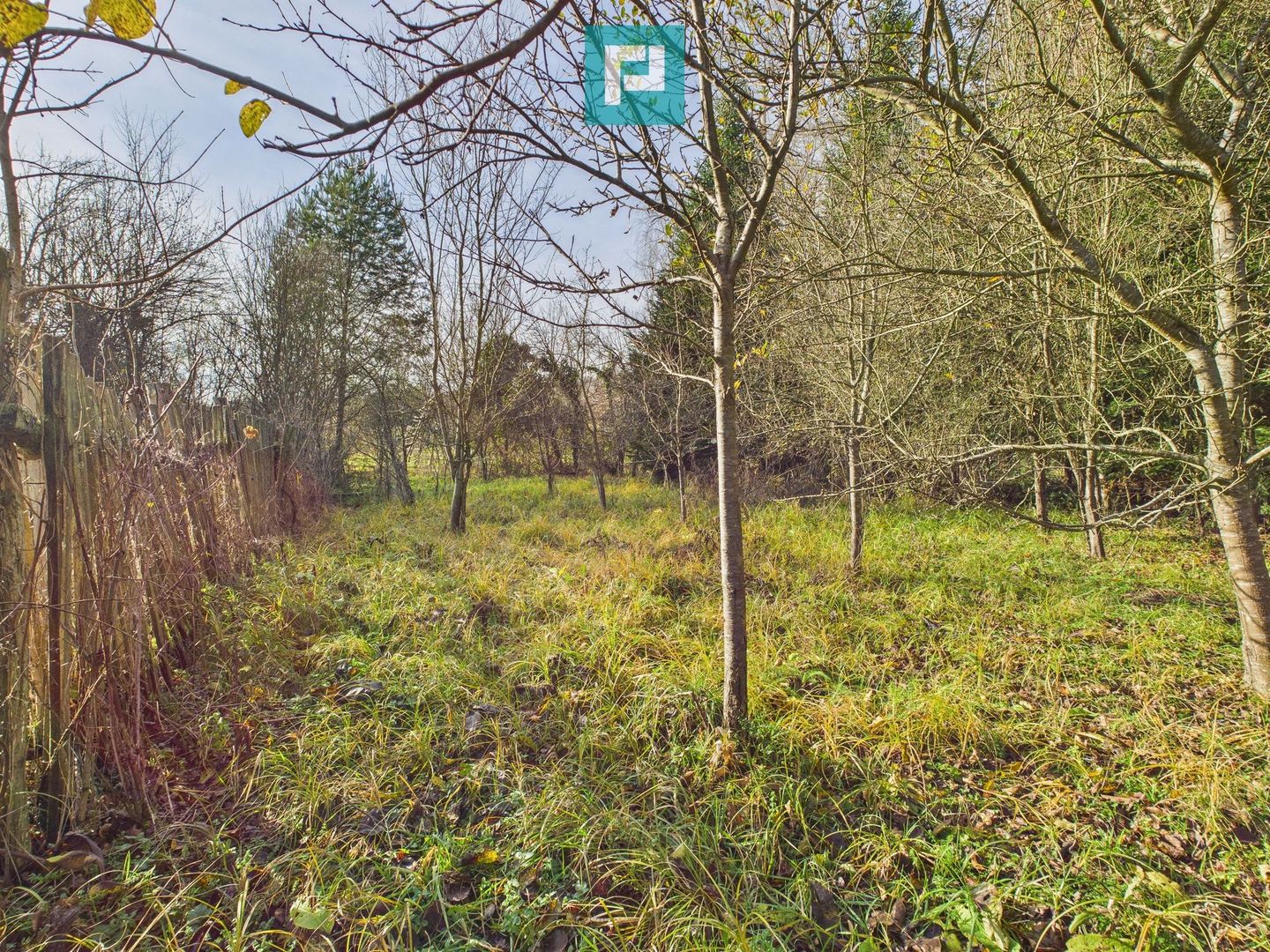 Casă P+E+M cu teren 8163 mp – Roşia Nouă (Petriş) - Poză 13