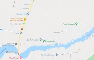 Vanzare teren 20.000 mp Padurea Vladiceasca, Tancabesti