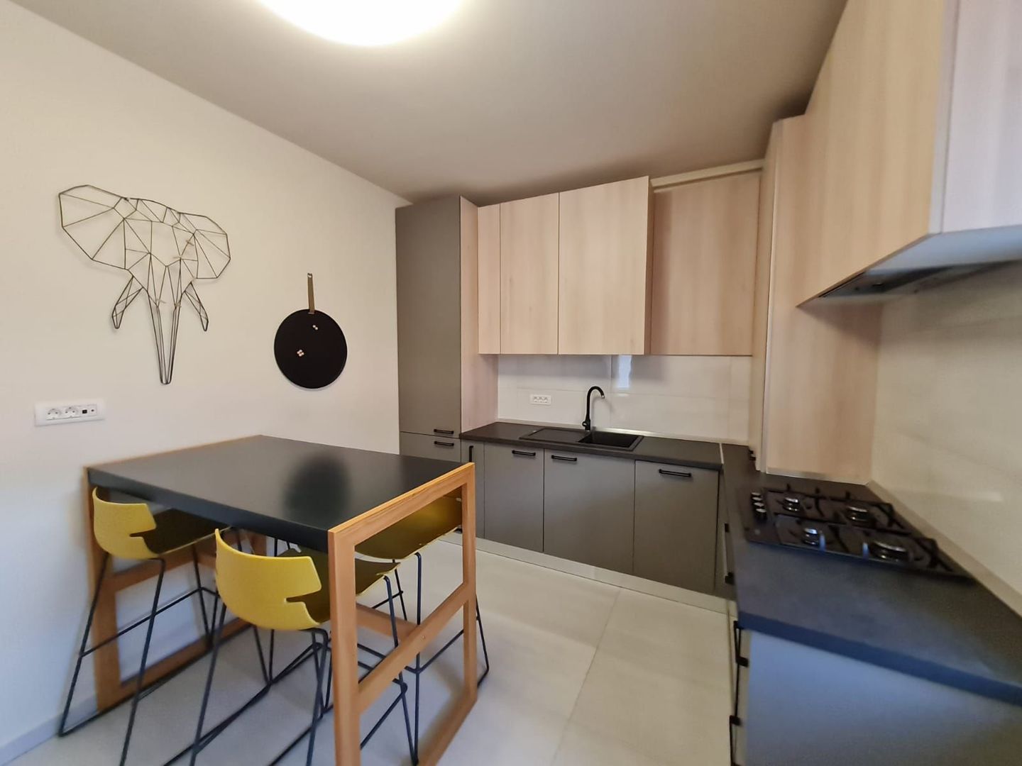 Apartament 1 camera cu grădina - Poză 5