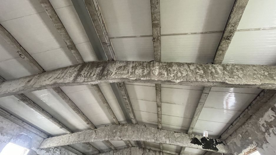 Hala Industrială / Agricolă | 800 MP Construcție + 800 MP Teren | - Poză 5