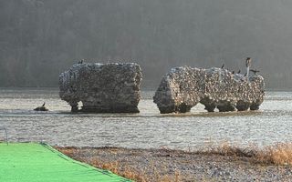 De Vânzare Teren Berzeasca langa Dunăre - Poză 7