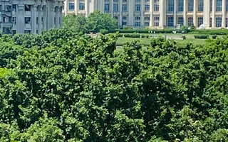 Apartament spațios cu 4 camere, vedere spectaculoasă către Palatul Parlamentului - Poză 25