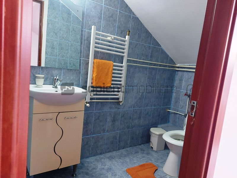 De vanzare casa si spatiu de restaurant in Tarian - Poză 15