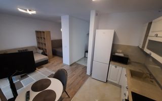 Ap tip studio de inchiriat, bloc nou, Aradului Iris - Poză 10