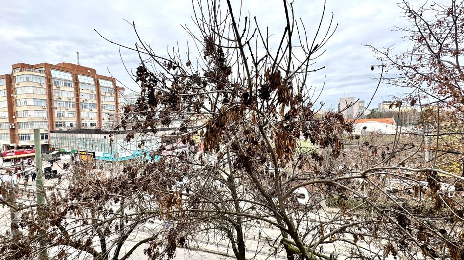 Apartament 1 camera, boem, chiar in centrul Timișoarei - Poză 13