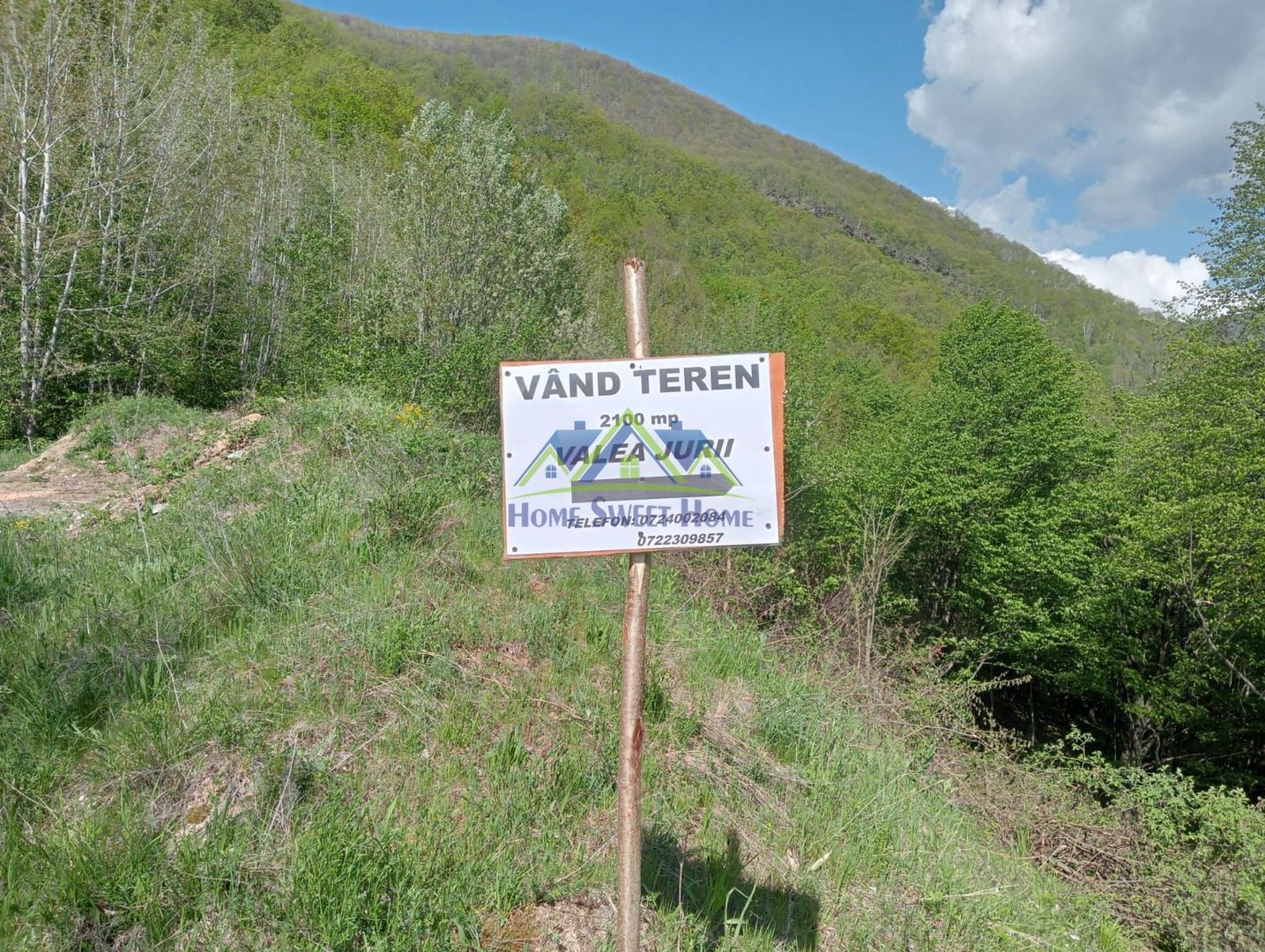 Teren intravilan Rau de Mori-Valea Jurii Retezat - Poză 3