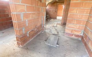 Sacalaz casa la rosu - Poză 10