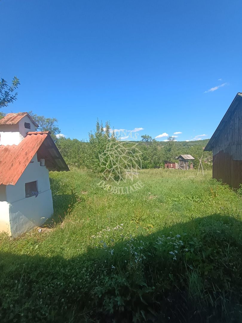 Casa 4 camere, 2 anexe-teren 43 ari cu livada-Feleac 26 km de Bistrita - Poză 7
