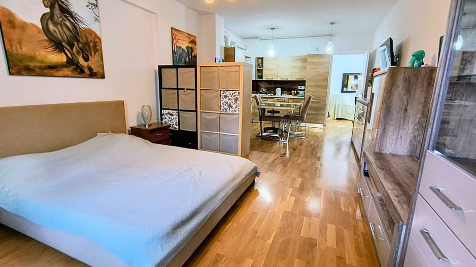 Iancu Nicolae- Gradina Zoologica- Jolie Ville- Loc parcare - Poză 7