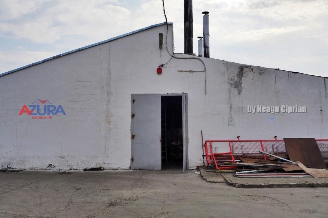 COMISION 0% - HALE Calinesti Arges - Poză 36