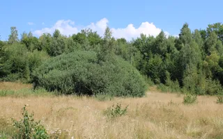 Terenuri Carpinis I parcelabil I Curent pe proprietati - Poză 64